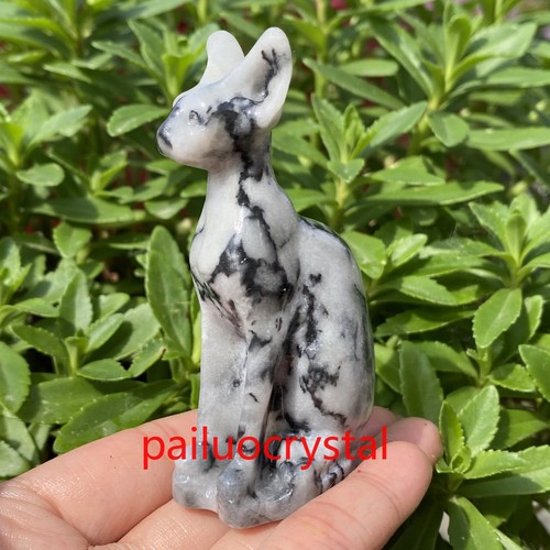 Wholesale Natural Mixed Hairless Cat Quartz Crystal Skull Carved Figurines 3" - Picture 53 of 61