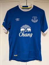 Everton 2016-17 Home Shirt Mens Small