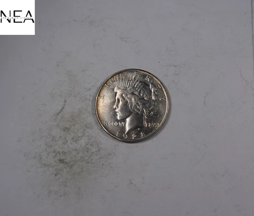 1928 Peace Dollar ~ Very Fine VF details ~ Key Date ~ 90% Silver ~ ZP937