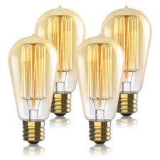 HUDSON BULB CO. Vintage Incandescent Edison Light Bulbs 60W (4 Pack) for Outd...