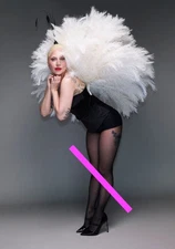 LADY GAGA (754) Choose Size Photo