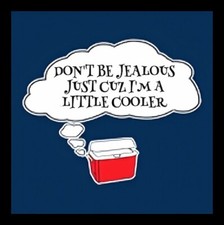 Don't be Jealous Just Because I'm A Little Cooler HA HA Pun Silly Envy MAGNET