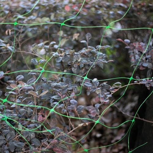 Plant Climbing Net Fruit Grow en ligne Mesh Gardening Green Net Vines Climbing Net
