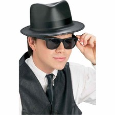 Singin' the Blues Hat Sunglasses Brothers Halloween Adult Costume Accessory
