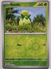 REVERSE HOLO Smoliv 021/182 NM / M Yuka Morii Clay Destined Rivals Pokemon Card