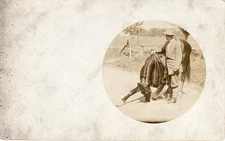 Horse Bowing Postcard RP Real Photo c1910 Trick Horse English Saddle Equestrian