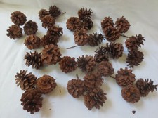 Pinecone Floral Picks Vintage Natural wired 12 pc of 3  36 Arrangements Wreaths
