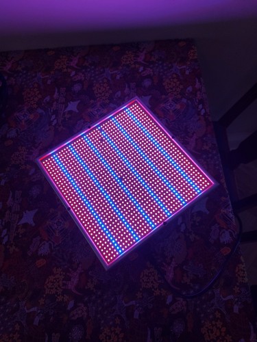 LED Glow Grow Lamp. 30 Cm. Plants