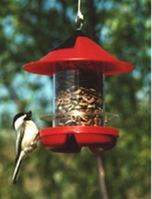 BECKS Beck's Chickadee Bird Feeder RED BECKSCKDRED