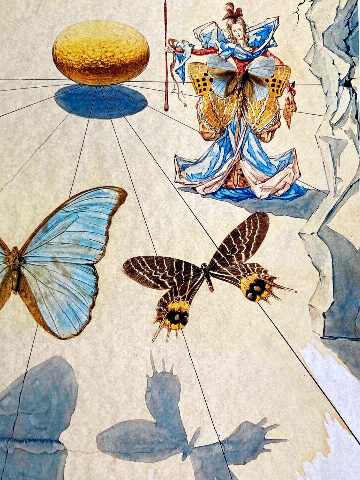 Picture 5 of 14