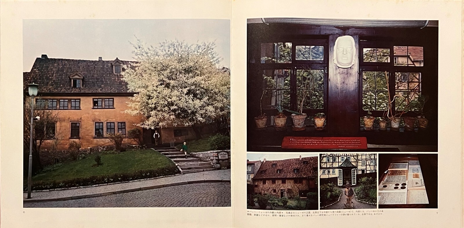 Picture 6 of 12