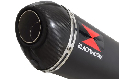CRF300 L RALLY Exhaust Silencer End Can Oval Black Stainless & Carbon 300BT - Picture 4 of 7