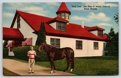 #ad Lexington Kentucky Farm Bull Lea Racehorse Sire: Citation Bewitch 1955 Linen $9.00