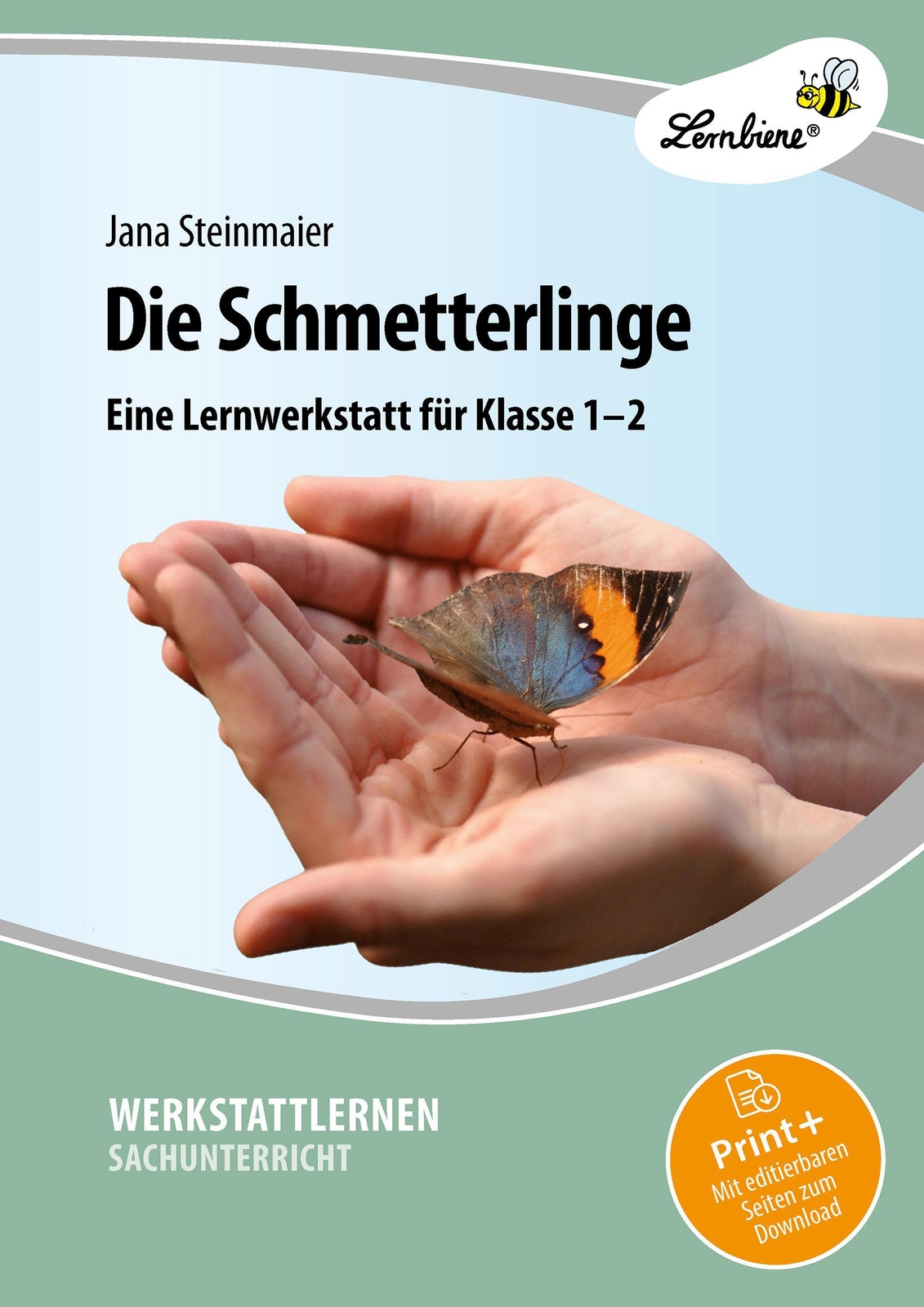 Thumbnail - Die Schmetterlinge. Grundschule, Sachunterricht, Klasse 1-2 ...