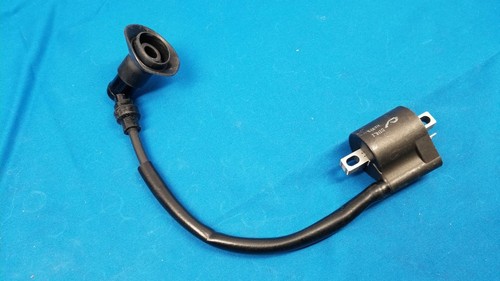 01-06 Polaris Sportsman Predator Scrambler 50 90 Ignition Coil 0450753 OEM DINLI - Picture 2 of 5