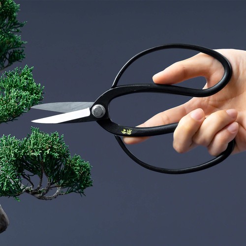 Wazakura Ysugi Steel Traditionelle Bonsai-Schere7"(180mm)Made in Japan 1701 - Bild 6 von 7