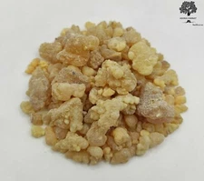 Frankincense Resin Large Tears 85g - 1.95Kg | Boswellia Papyrifera