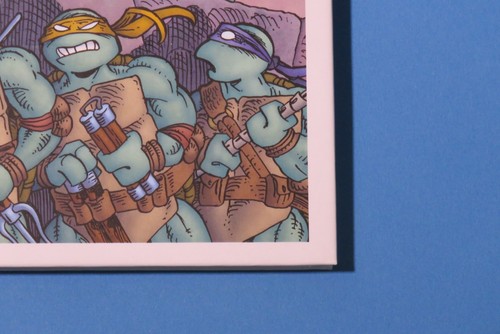 Teenage Mutant Ninja Turtles Expanded Edition 2017 USAGI Yo Jimbo HC 1st Print - Picture 7 of 17