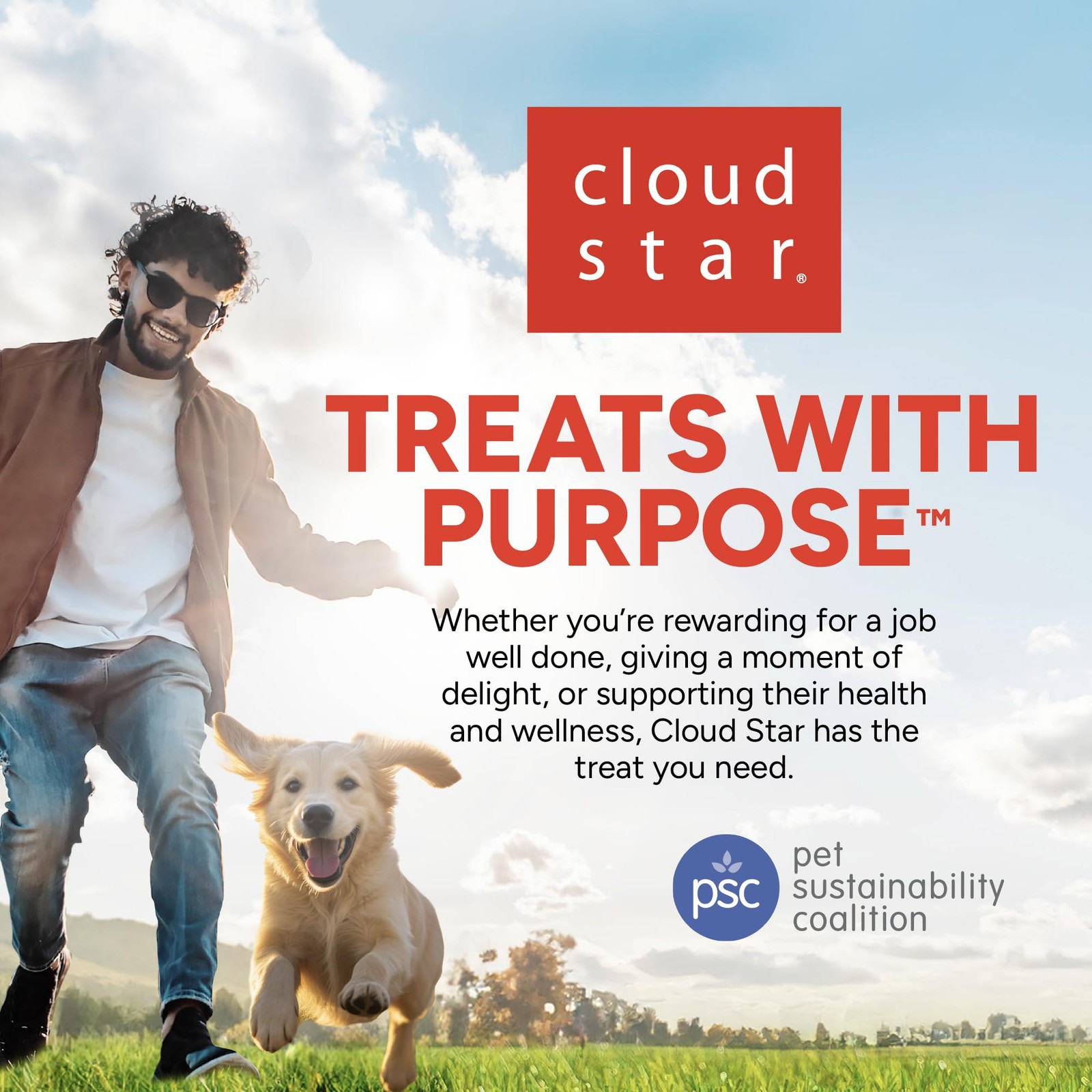 Cloud Star Dynamo Dog Tummy Treats &ndash; Soft & Chewy Probiotics Support for Dogs