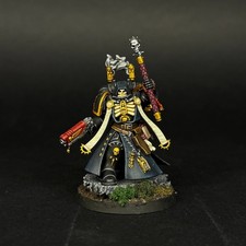 Space Marines Chaplain - Pro Painted - Dark Angels