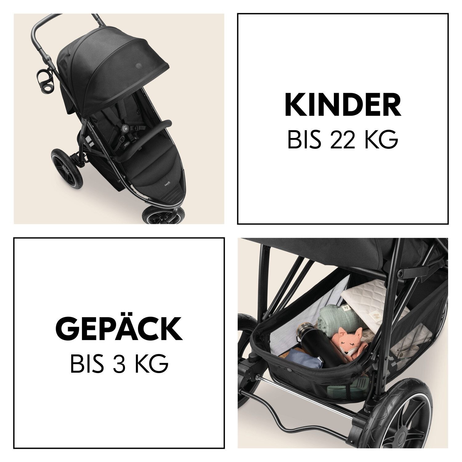 Bild 5 von 12