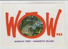 WOW MARILYN TREE MAGNETIC ISLAND QLD ACC POSTCARD