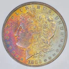 1882 $1 Morgan Silver Dollar NGC MS63 - Fantastic Textile Toning