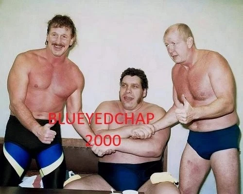 TERRY & DORY FUNK & ANDRE THE GIANT WRESTLER 8 X 10 WRESTLING PHOTO NWA - Image 1 of 1
