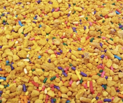 Dairy Queen Krunch Kote 2 LB Peanut Brittle crunch Ice Cream Topping Sprinkles