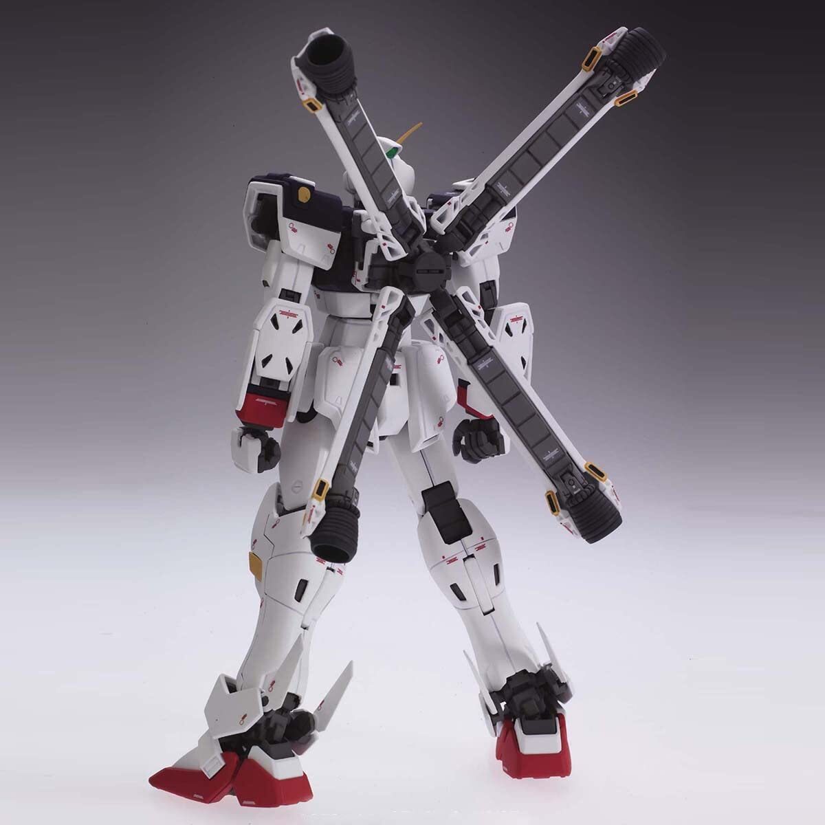 Bandai Spirits MG XM-X1 Crossbone Gundam X-1 Ver.Ka 1/100 Plastic