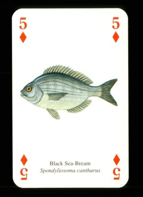 1 x Spielkarte eines Schwarzmeer - Brassenfisches - 5 Diamanten - ZU 03