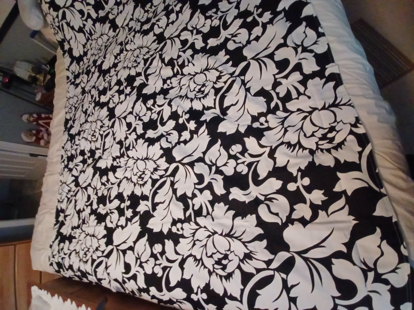 Picture 1