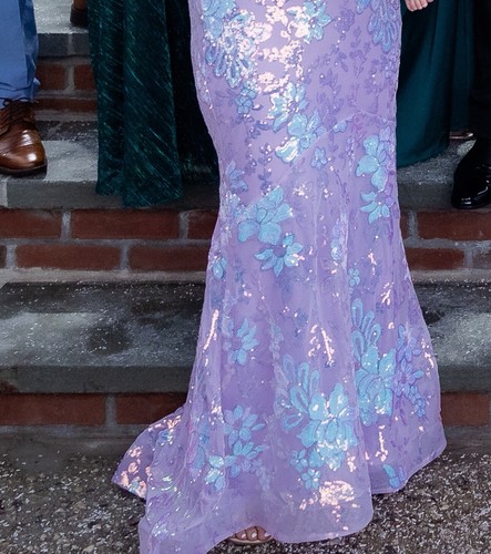 Lilac/ Blue Flowers Sparkle