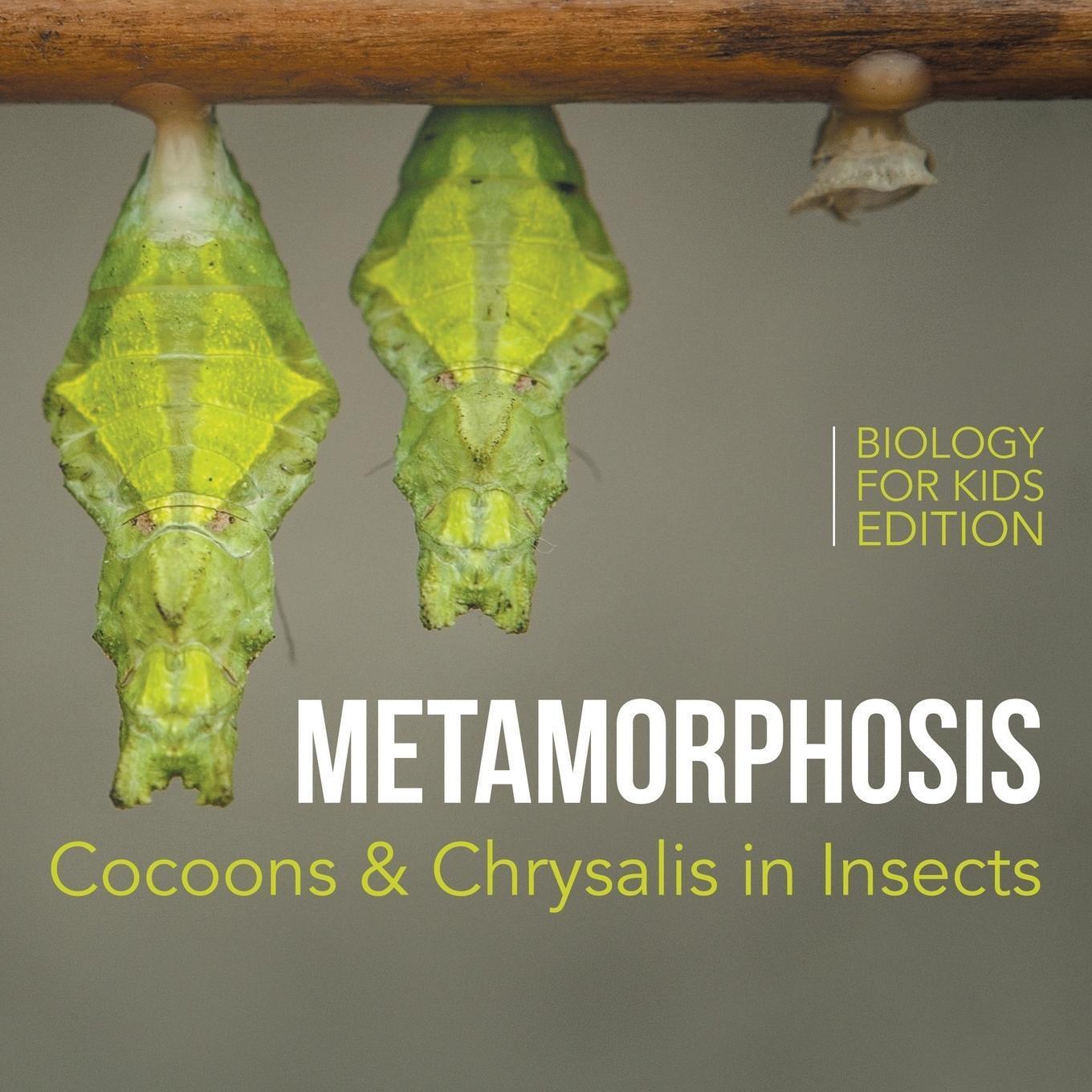 Thumbnail - Baby | Metamorphosis | Taschenbuch | Englisch (2015) | Paperback
