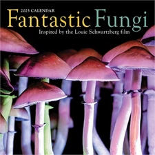 Fantastic Fungi Wall Calendar 2025: Inspired by the Louie Schwartzberg Film (Cal