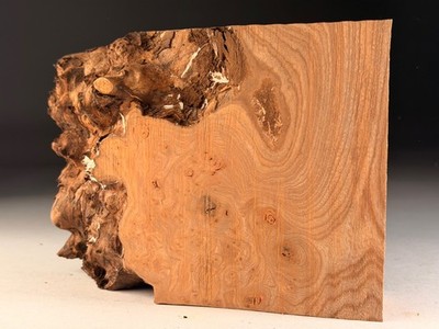 Maser Ulme Live Edge Drechselholz Gehstock Krumm Rohlinge 6x8x2 Zoll 0,9 KG