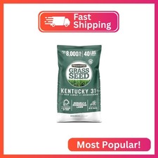 Pennington Kentucky 31 Fescue 40 LB Tall Fescue Grass Seed, Grass Seeds for Lawn