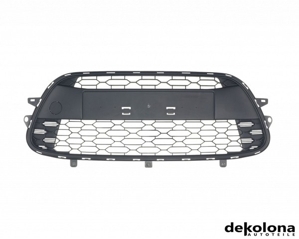 StoßStangengitter Vorne FüR CitroëN C3 Kasten/SchräGheck 1.4 Hdi 06.10 - 09.16-image
