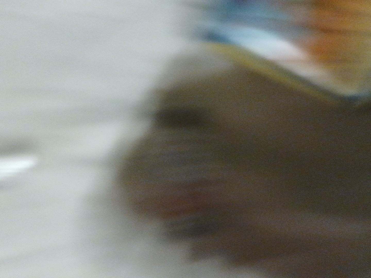 Picture 5 of 10