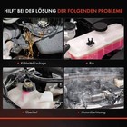Bild 8 von 8