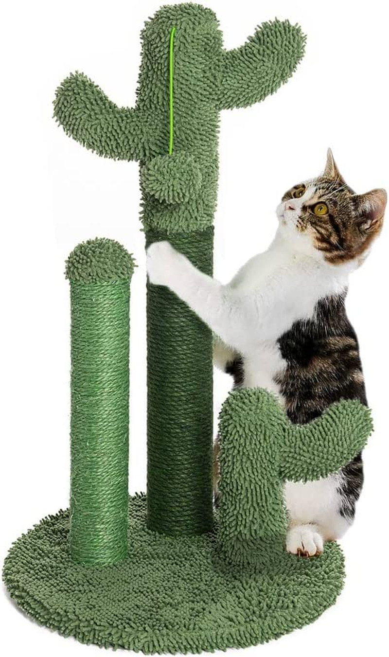 Tiragraffi Interattivo Cactus 3 Rami - Gioco Educativo per Gatti Felici