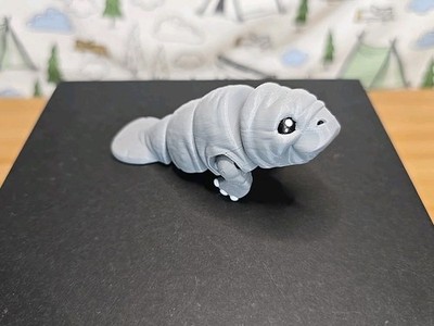 Mini Manatee 3D Printed Articulated Flexi Fidget Toy!