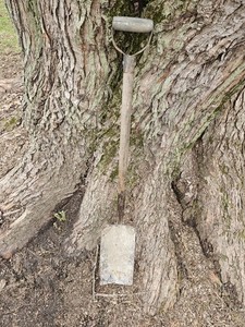 VTG Ames Bronco 14 Short Shovel Antique Farmhouse Barn Cabin 