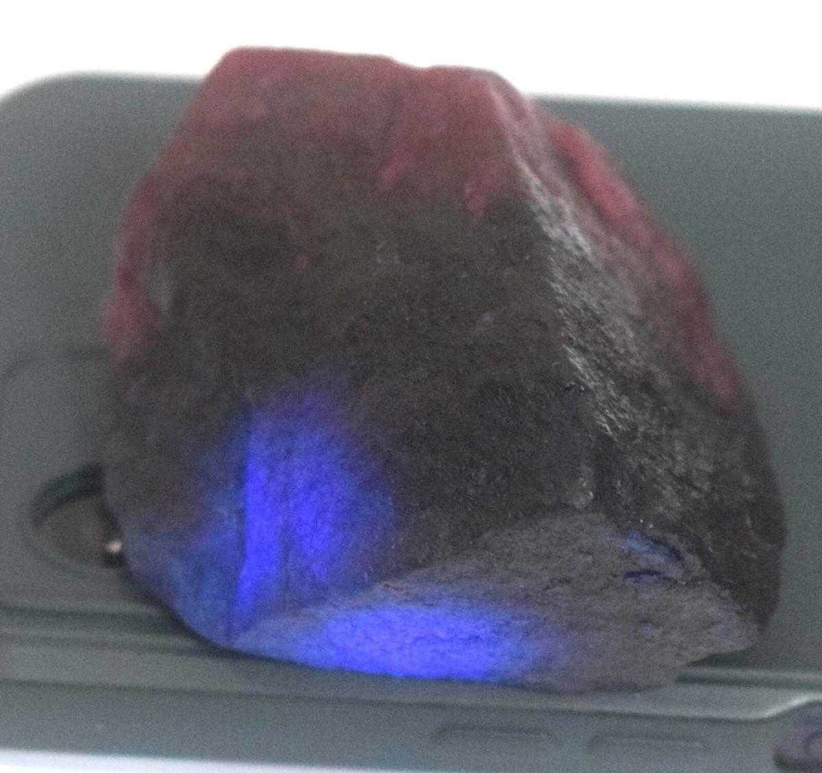 513 Ct/55 mm Natural Bi Color Sapphire Gemstone Rough Certified