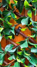 Leaf Trellis Fixing Bracket x18 *Plus Free Gift*