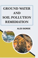 Alex Borde | Ground Water And Soil Pollution Remediation | Buch | Englisch