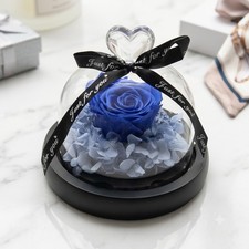 Real Preserved Blue Rose Everlasting Eternal Flower w Light Valentine Gift Glass