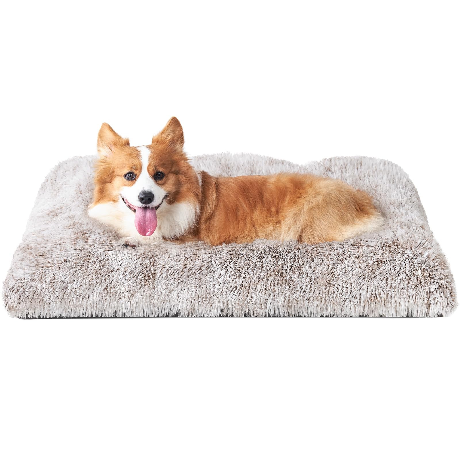 EHEYCIGA Letto per Cani Media Taglia 75x50cm - Ortopedico e Lavabile