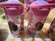 Disney Princess Sip Water Bottle w/Carry Loop 16 oz Sippy Cup zak Designs