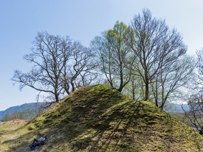 Foto 8x6 Bäume neben Weg von Kinlochewe zur Ostseite von Loch Mare c2016